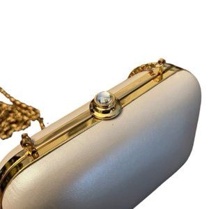 Nordstrom Hard case clutch